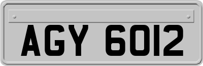 AGY6012