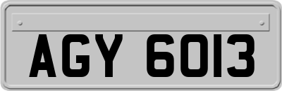 AGY6013