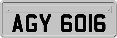 AGY6016