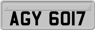AGY6017