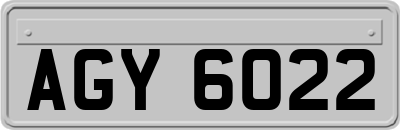 AGY6022