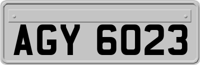 AGY6023