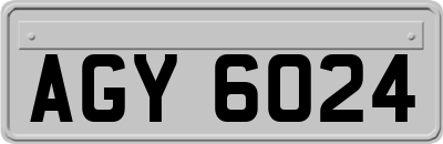 AGY6024