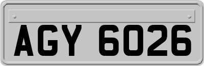 AGY6026