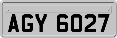 AGY6027