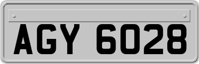 AGY6028