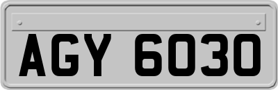 AGY6030