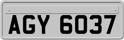 AGY6037