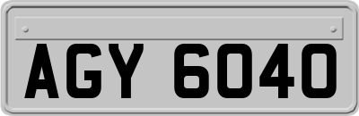 AGY6040