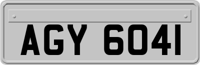 AGY6041