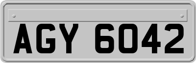 AGY6042