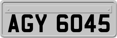 AGY6045