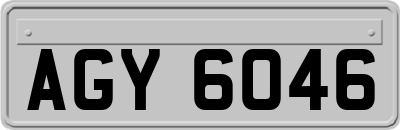 AGY6046