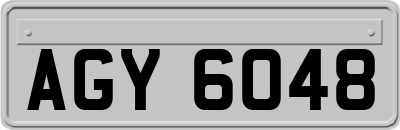 AGY6048