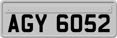 AGY6052