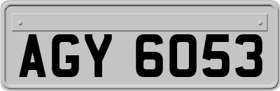 AGY6053