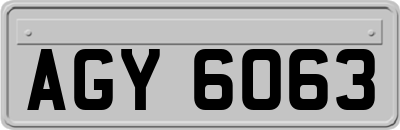 AGY6063
