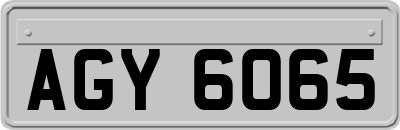 AGY6065