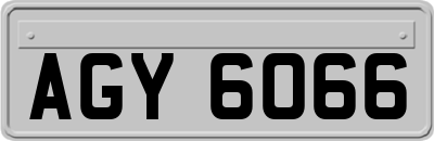 AGY6066