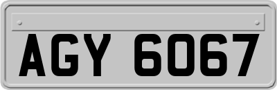 AGY6067