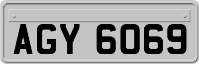 AGY6069
