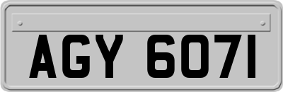AGY6071