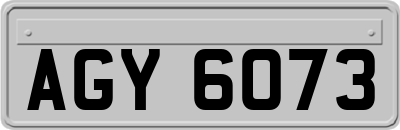 AGY6073