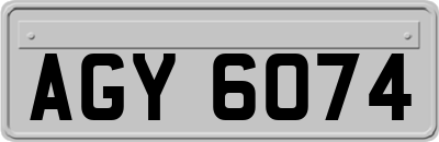 AGY6074
