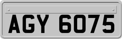 AGY6075