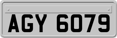 AGY6079