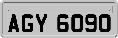 AGY6090