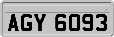 AGY6093