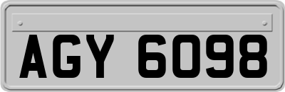 AGY6098