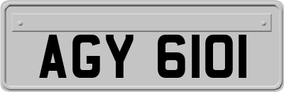 AGY6101