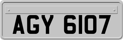 AGY6107