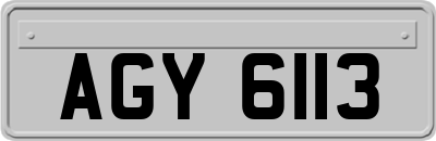 AGY6113