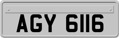 AGY6116
