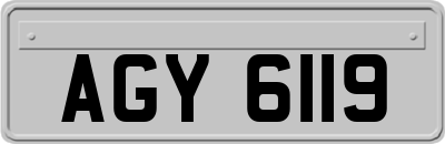 AGY6119