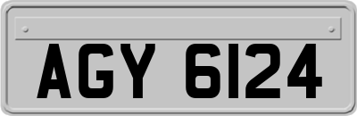 AGY6124