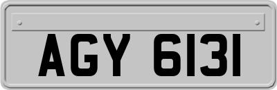 AGY6131