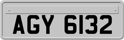 AGY6132