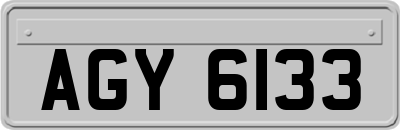 AGY6133