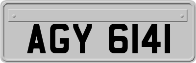 AGY6141