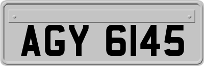 AGY6145