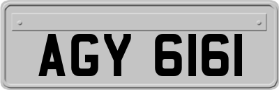 AGY6161