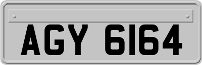 AGY6164