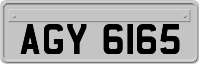 AGY6165