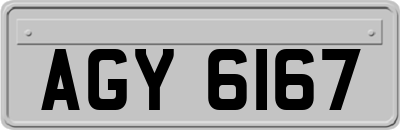 AGY6167