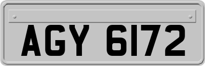 AGY6172