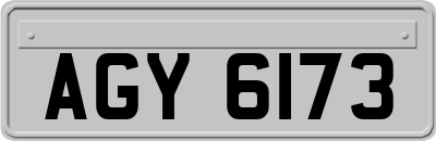 AGY6173